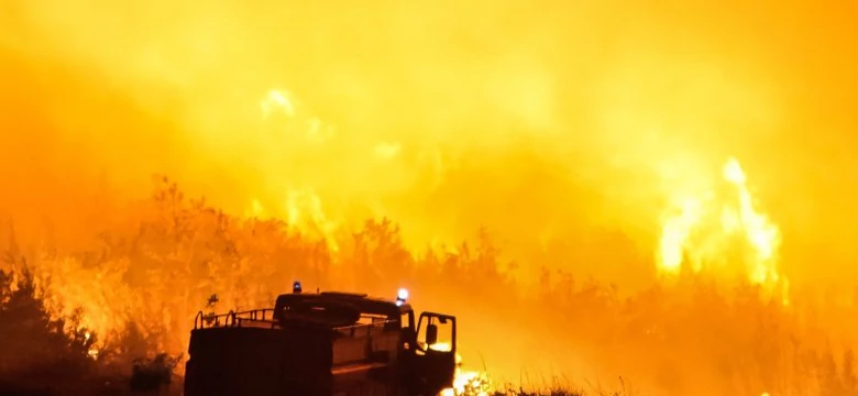 Chorwacja: od stycznia do sierpnia spłonęło 56 tys. hektarów