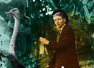 'Życie zawłaszcza śmierć w Wieprzowie Ordynackim', czyli zabawa i kpina z dala od szlaku