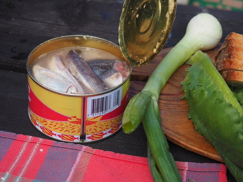 surströmming - znany w Szwecji przysmak 