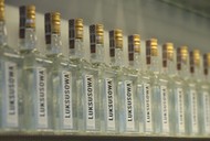 ALKOHOL wódka