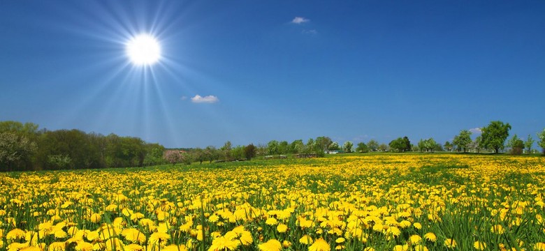 Spadek ciśnienia i przelotne opady [PROGNOZA POGODA]