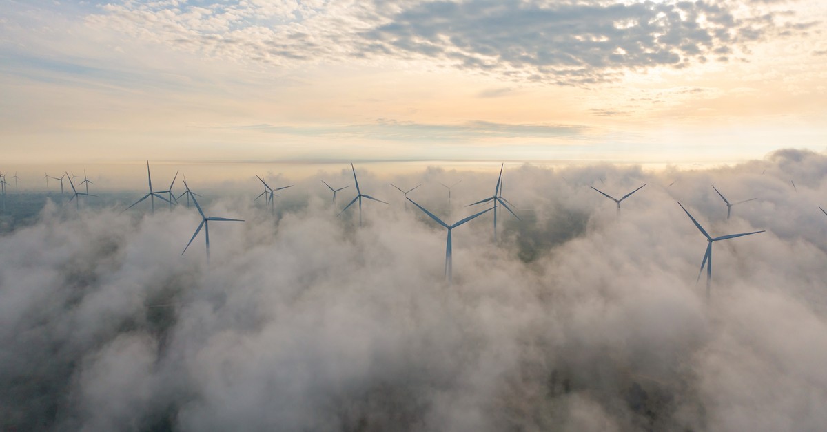 To koń trojański zielonej rewolucji. NATO ostrzega UE