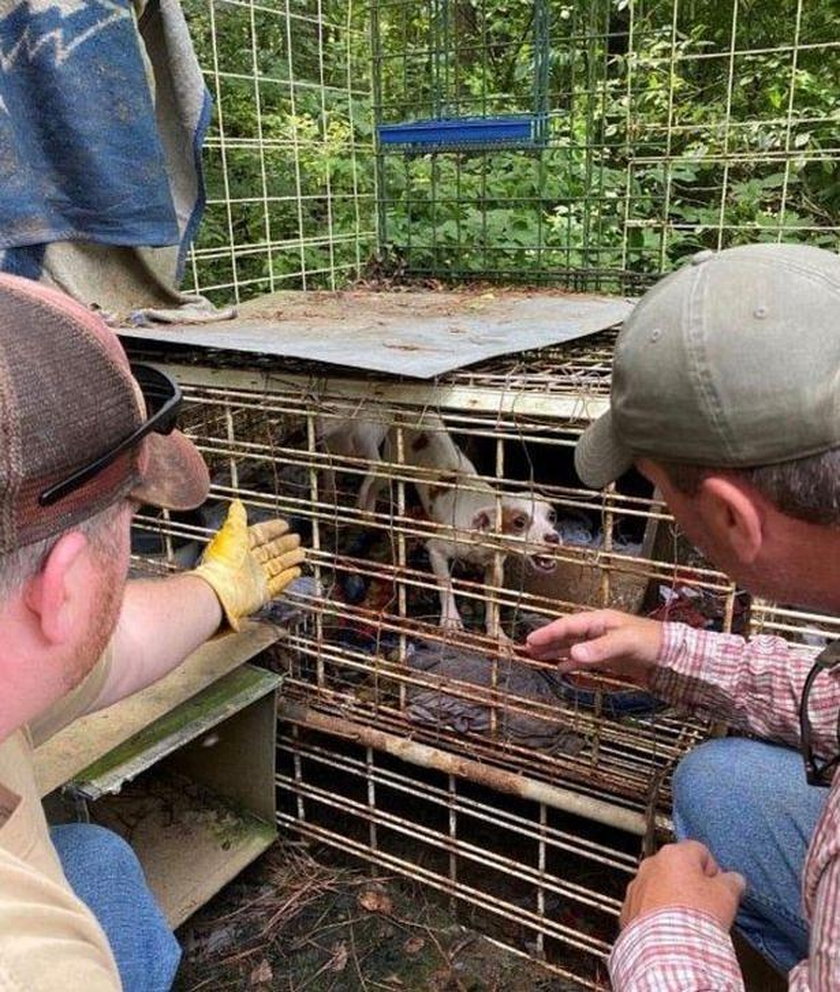 Mieli ratować zwierzęta, a znaleźli dziecko więzione w klatce