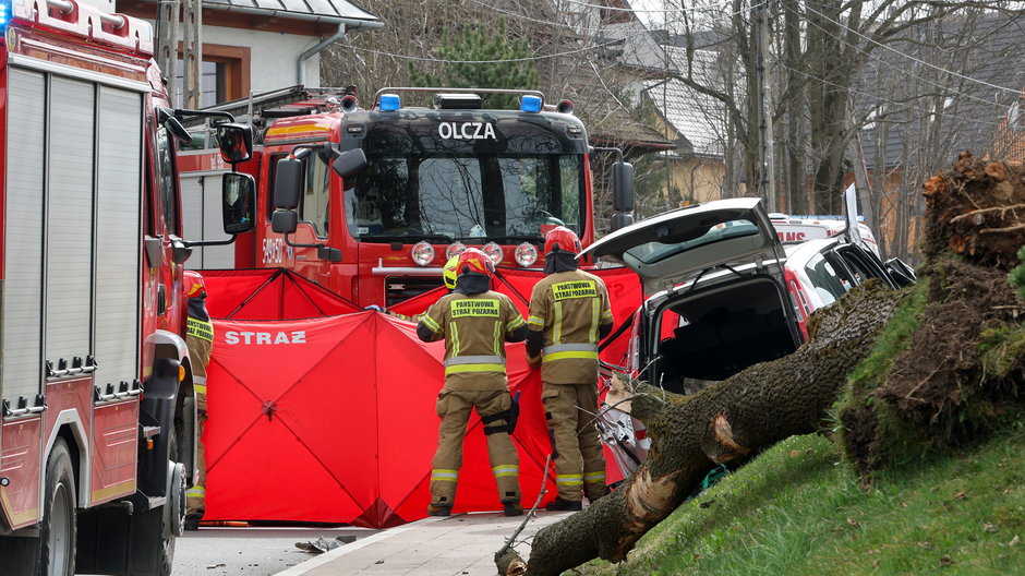 Tragiczne skutki wichury w Zakopanem. Drzewo spadło na jadący samochód