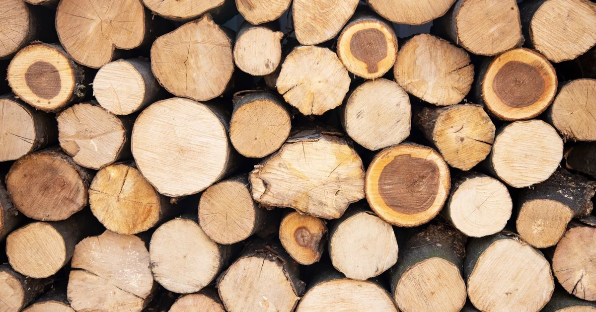 Rewolucja w paleniu drewnem!. Nowe rozporządzenie zmienia zasady - pełnowartościowe drewno nie do spalenia od września 2025