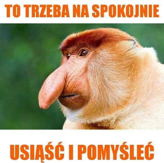 Albania - Polska. Memy po meczu