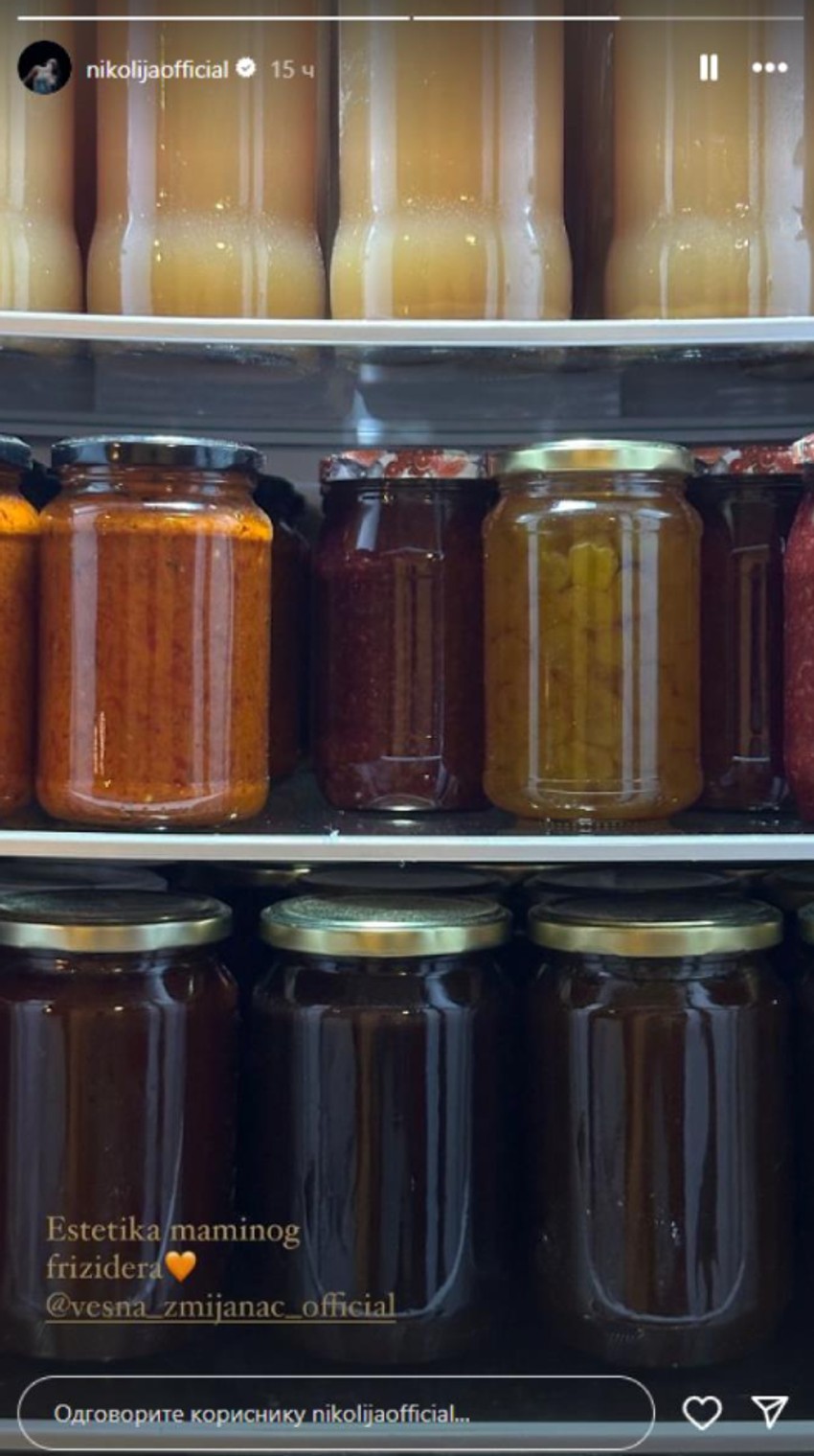 Frižider Vesne Zmijanac