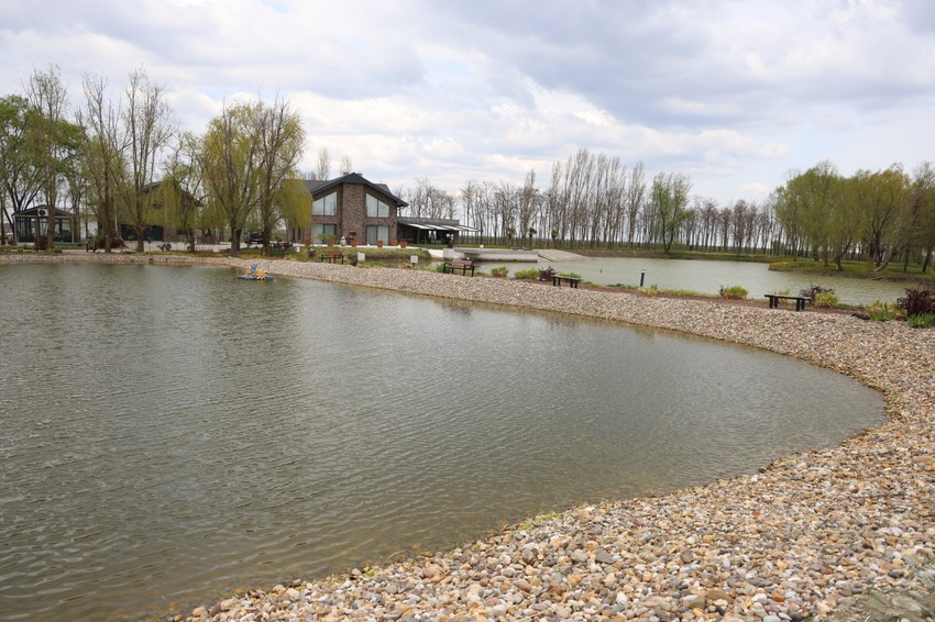 Imanje Branka Babića vredi milione