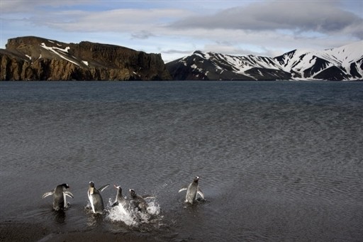 ANTARCTICA - FEATURE