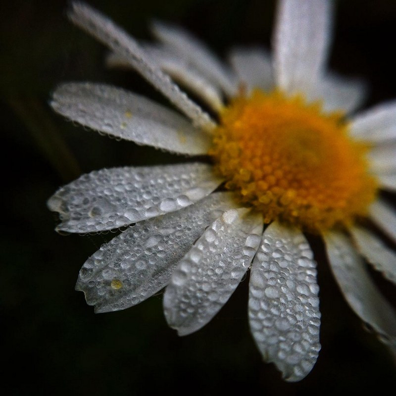 Looking out the morning rain, fot. Barbara Łucka