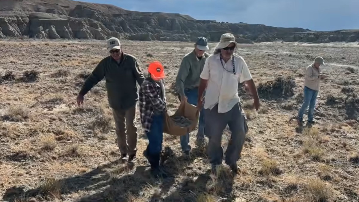 Otkriven fosil kornjače