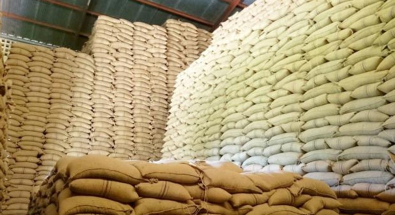 Bags of maize in storage