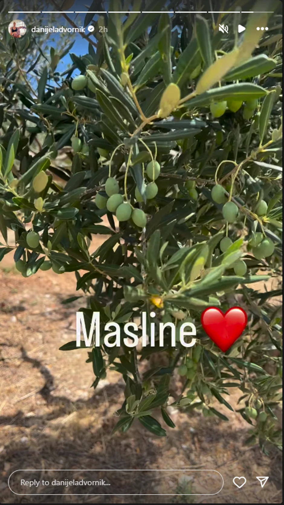 Danijela Dvornik se pohvalila plodovima iz voćnjaka
