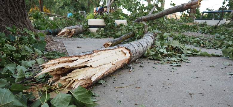 Tragedia podczas wichury. Drzewo przygniotło rowerzystkę