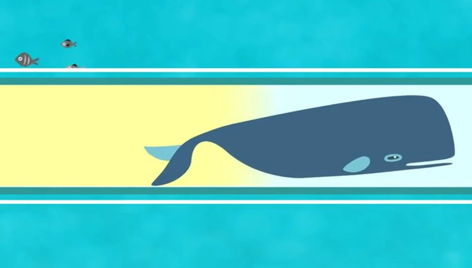 Kit dnevno u vodu "ispusti" 970 litara urina