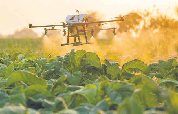 Popularność w rolnictwie szybko zyskują drony, które są relatywnie tanie i wszechstronne w użyciu