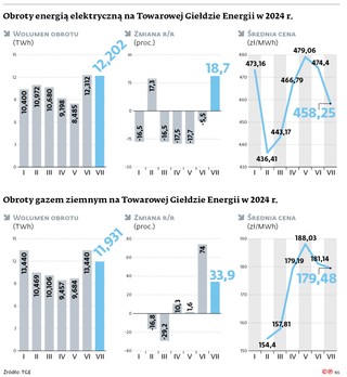 Obroty energią elektryczną na Towarowej Giełdzie Energii w 2024 r.