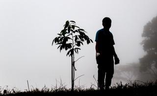 Łódź planuje powiększenie obszaru miejskich lasów o 150 ha