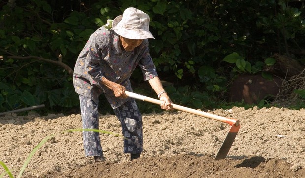 Starosedeoci na ostrvu Okinava