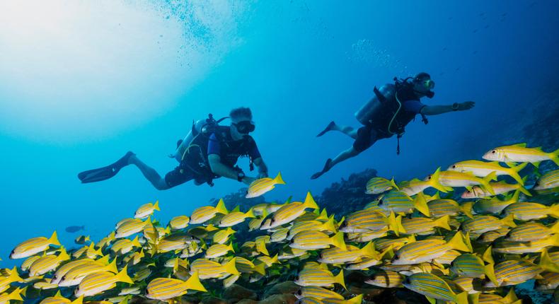 As part of Servius, former Navy SEALs join VIP clients' dive trips as security.Reethi Rah/Embark Beyond