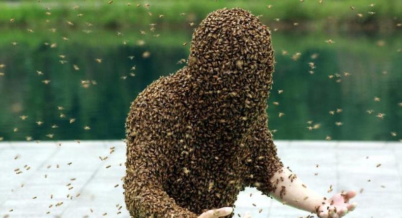 This man was completely covered in bees [Kanyidaily]