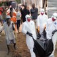 HEALTH-EBOLA/LIBERIA