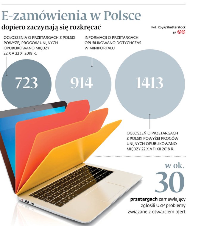 E-zamówienia w Polsce