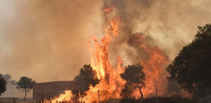 Panika w pociągu. Za szybą szalały pożary. Przerażające nagranie