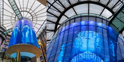 Dwa lata po katastrofie wielkiego akwarium w Berlinie są plany nowej atrakcji