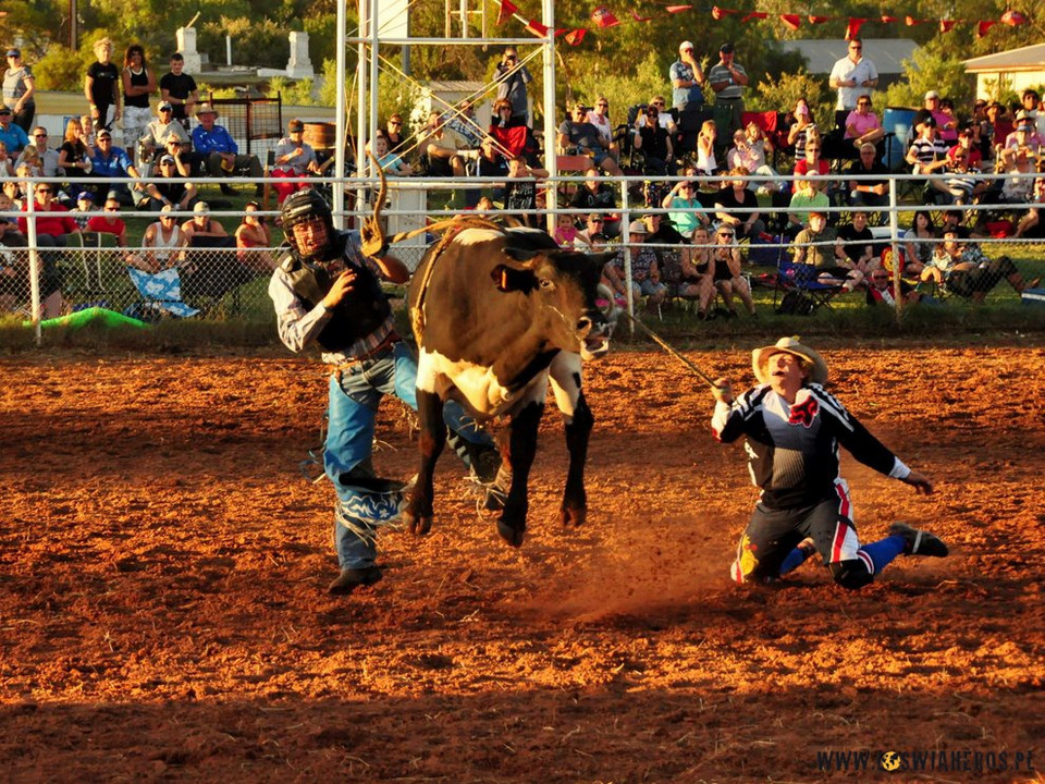 Wilmington Rodeo