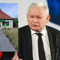 Jarosław Kaczyński chce przejąć Żabkę. To reaktywacja "warzywniaka plus"?