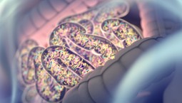 Mikrożel może zmienić mikrobiom na lepsze