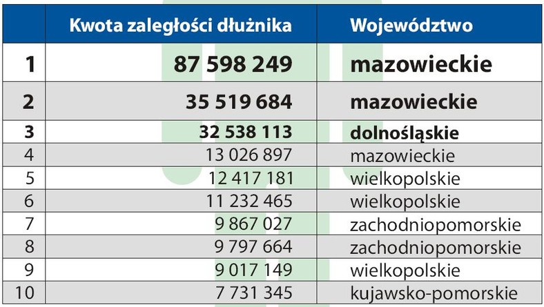 Najwięksi dłużnicy