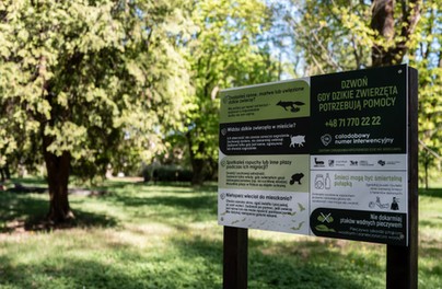 Nie wywołuj wilka z lasu. Druga edycja kampanii „Dzikie w mieście