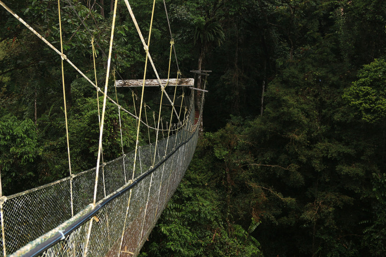 Gunung Mulu