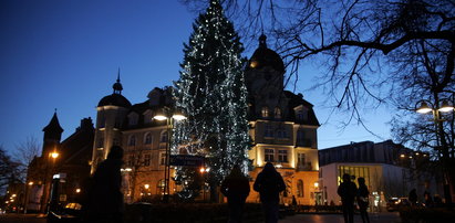 Wszyscy lubią świąteczne ozdoby. Te kosztują jednak krocie