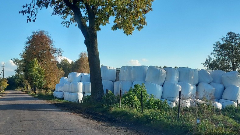 Wieś pod Grajewem.