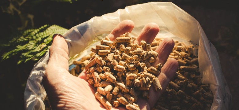 Cena pelletu - kwiecień 2025. Ile za worek pelletu, ile za tonę pelletu drzewnego? Aktualna cena pelletu