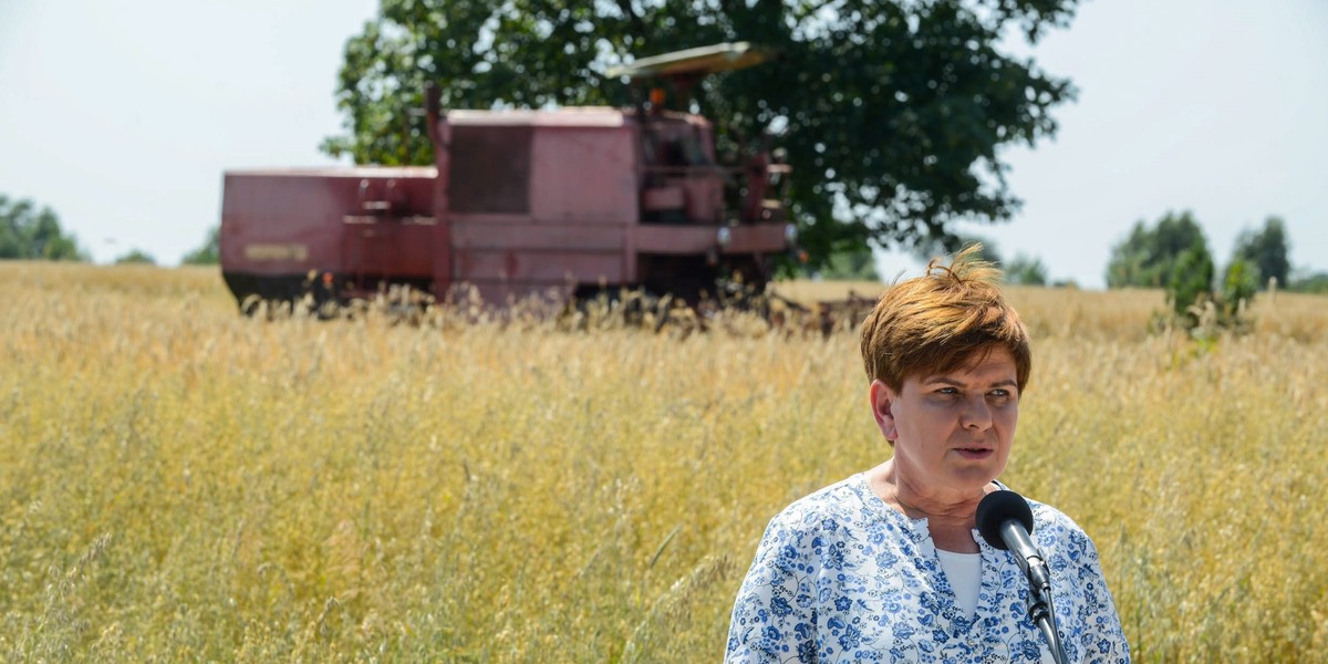 Szydło ruszyła do boju. Będą żniwa