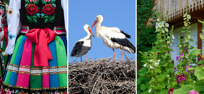 Ile wiesz o polskiej wsi? Mieszczuchy nie mają szans! [QUIZ]