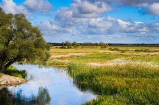 KE chce bardziej przeciwdziałać zanieczyszczeniu wody azotanami