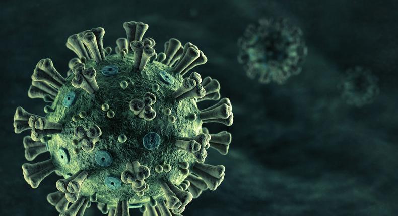 novel coronavirus under a microscope