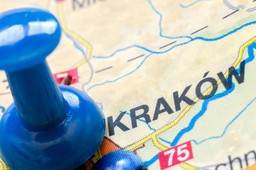 Śnięte ryby w stawie w Krakowie. Wstępne badania nie wykazały chemicznego skażenia