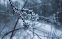 Śnieg, silny wiatr i burze. Ponura prognoza IMGW na najbliższe dni
