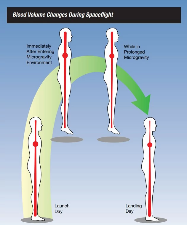 Ciśnienie krwi podczas misji kosmicznej