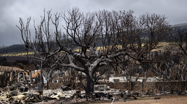 Mauin lassan halad a tűzvész utáni romok átkutatása /Fotó: MTI/EPA/ETIENNE LAURENT