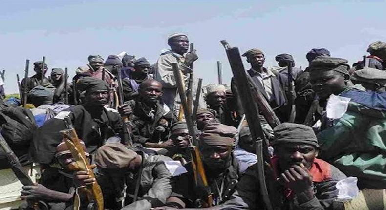 Army captures, de-radicalises over 200 Boko Haram insurgents in Adamawa, says Commander