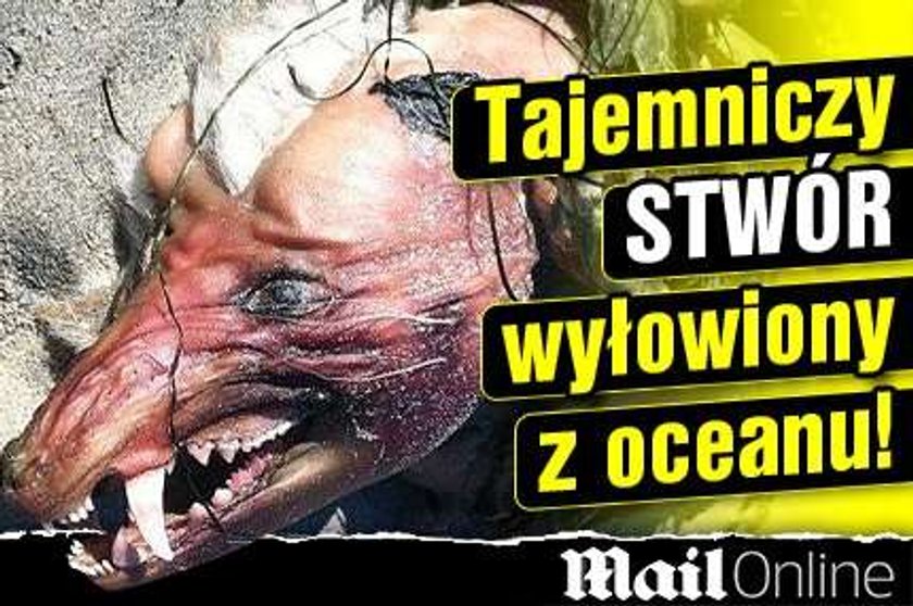 Tajemniczy stwór wyłowiony z oceanu!