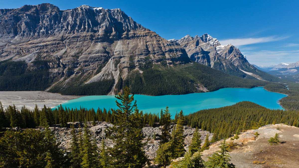 Jezioro Peyto, Kanada