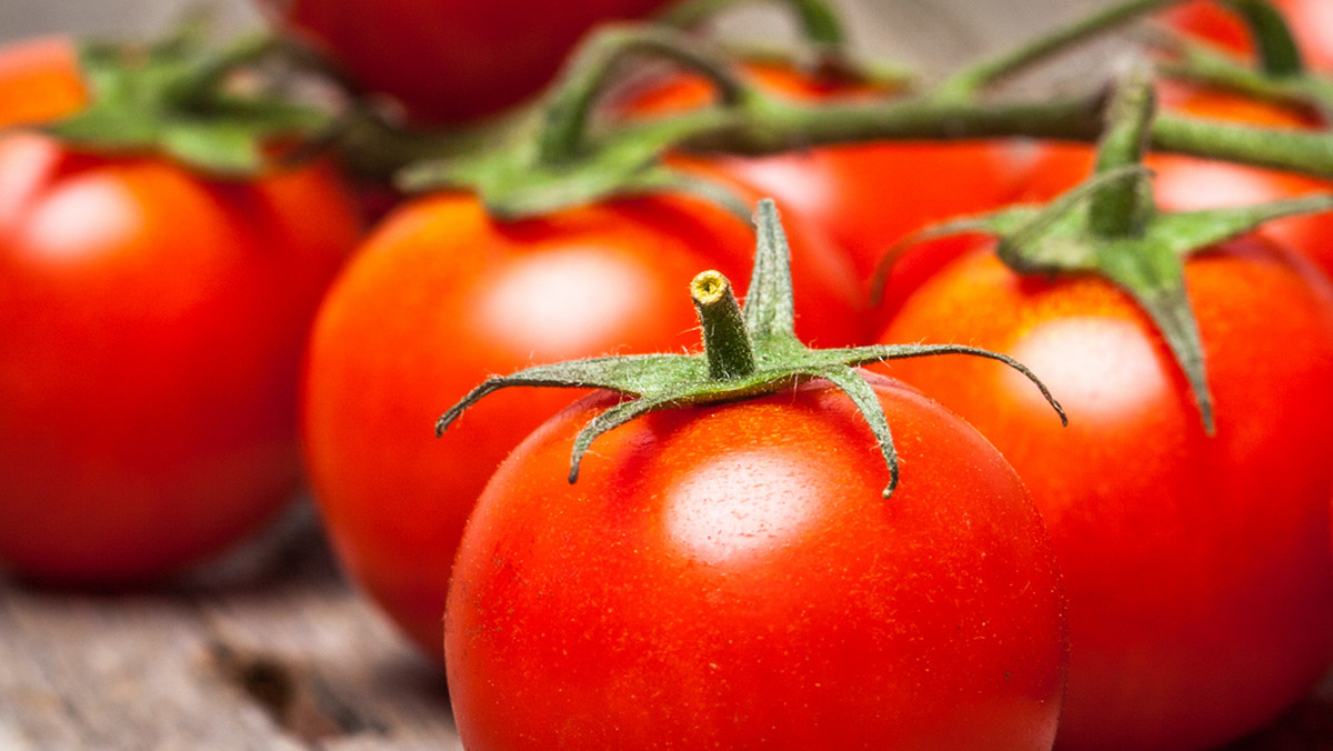 Dziś po południu w Jeziorach Wielkich (powiat mogileński) odbędzie się 16. już Wielki Festyn Pomidorowy. Zwieńczeniem atrakcji imprezy będzie wielka bitwa pomidorowa.